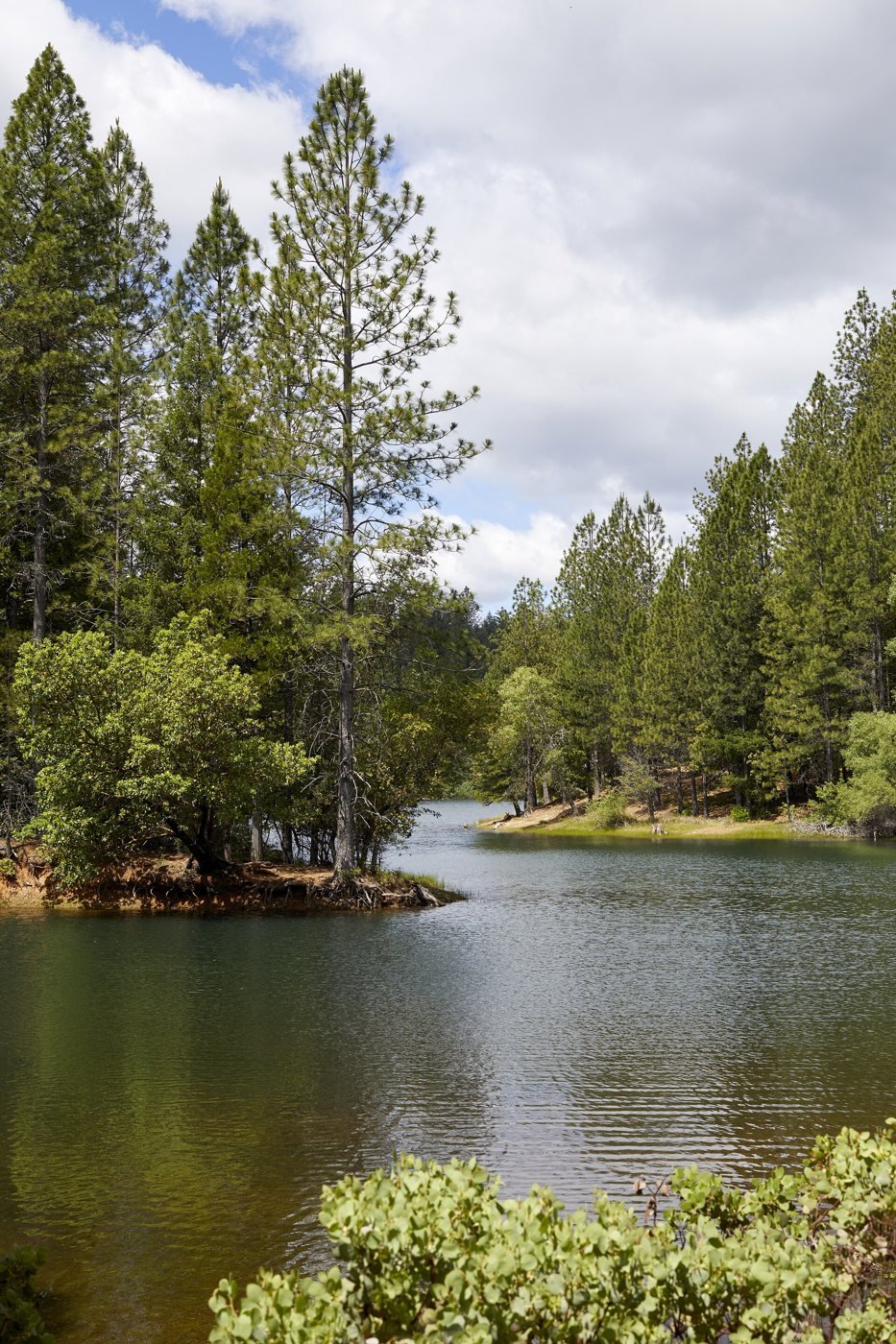 Paradise Lake near Magalia, framed by tall pines on a cloudy day